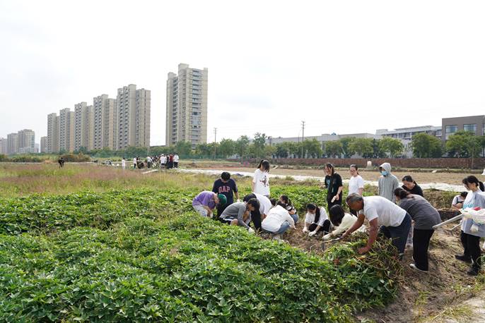 1664503016153952.jpg image006.jpg