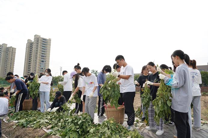 1664503016253093.jpg image004.jpg