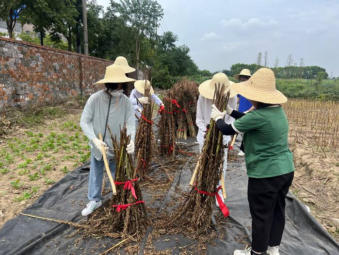 1664503016686934.jpg image002.jpg