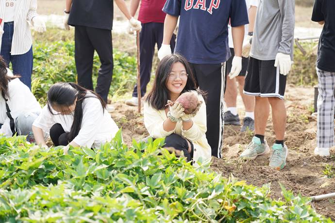 1664503016826955.jpg image008.jpg