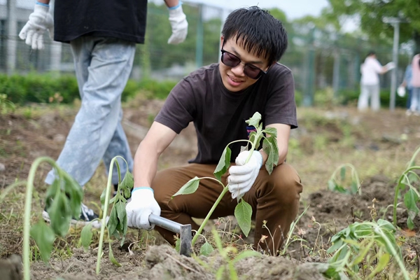 3.学生劳动实践课上参与种植①.jpg
