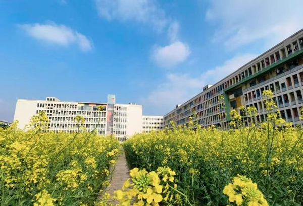 1664372676624413.jpg 图片1.jpg