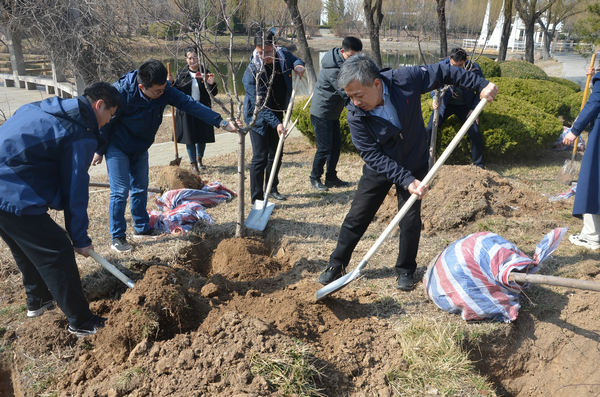 图片2 义务植树活动现场.JPG