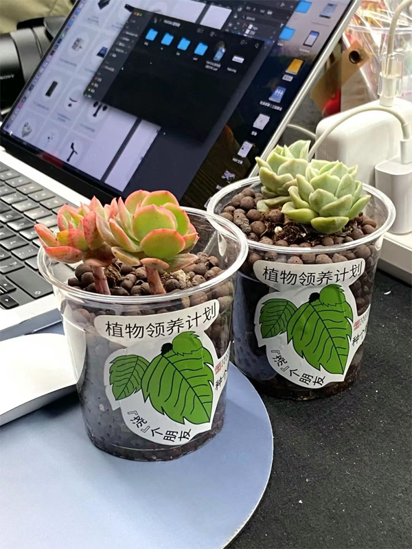 1746671409108787.png 照片10.png